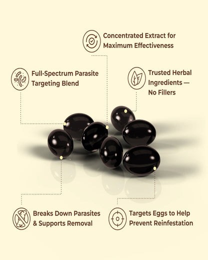 Eliminate hidden parasites and larvae in just 14 days with a powerful blend of wormwood, black walnut and clove.